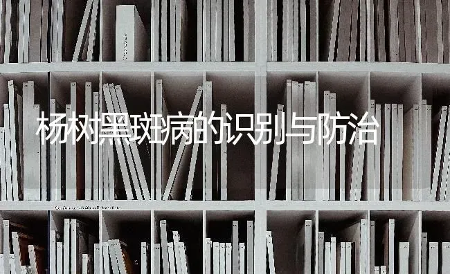 杨树黑斑病的识别与防治 | 养殖技术大全