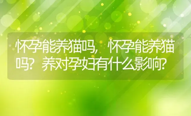 怀孕能养猫吗,怀孕能养猫吗?养对孕妇有什么影响? | 养殖科普