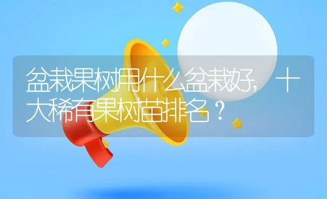 盆栽果树用什么盆栽好,十大稀有果树苗排名？ | 养殖科普