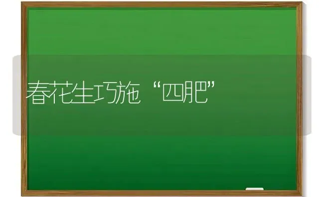 春花生巧施“四肥” | 养殖知识