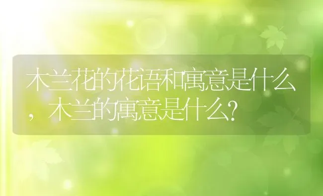 木兰花的花语和寓意是什么,木兰的寓意是什么？ | 养殖学堂