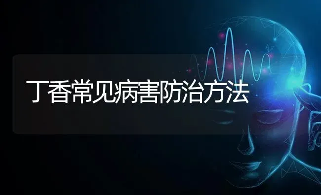 丁香常见病害防治方法 | 养殖技术大全