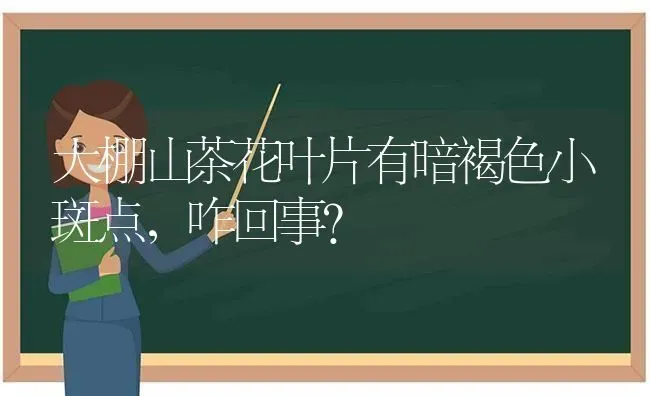 大棚山茶花叶片有暗褐色小斑点,咋回事? | 养殖技术大全