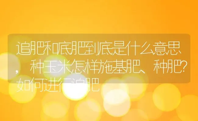 追肥和底肥到底是什么意思,种玉米怎样施基肥、种肥？如何进行追肥 | 养殖学堂