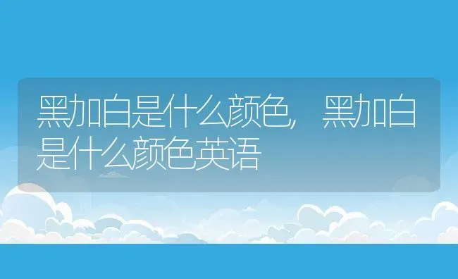 黑加白是什么颜色,黑加白是什么颜色英语 | 养殖科普