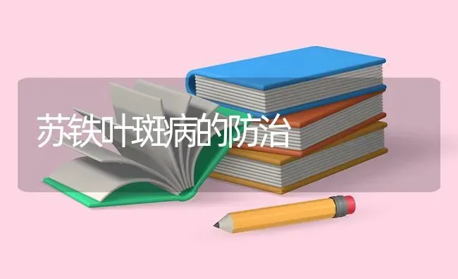 苏铁叶斑病的防治 | 养殖技术大全