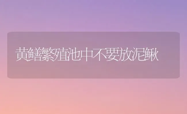 黄鳝繁殖池中不要放泥鳅 | 养殖知识