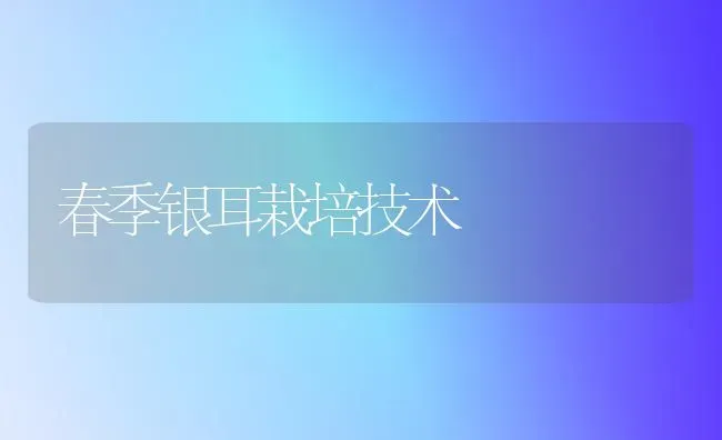 春季银耳栽培技术 | 养殖知识