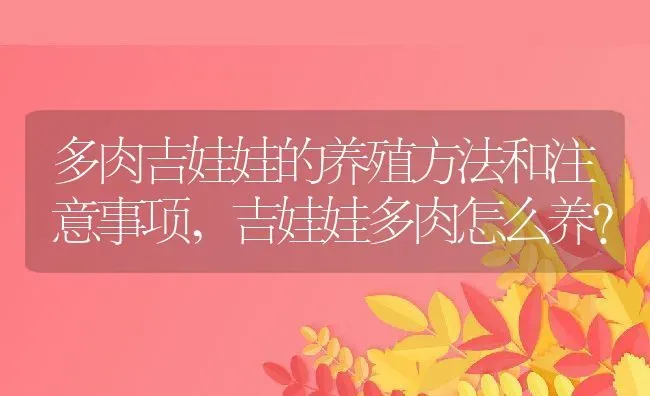 多肉吉娃娃的养殖方法和注意事项,吉娃娃多肉怎么养？ | 养殖学堂