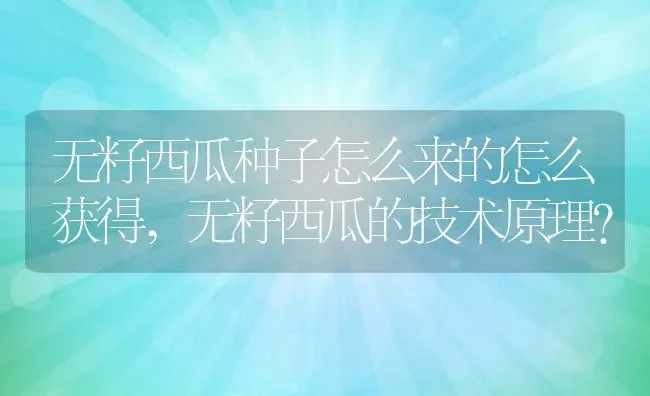 无籽西瓜种子怎么来的怎么获得,无籽西瓜的技术原理？ | 养殖科普