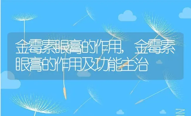 金霉素眼膏的作用,金霉素眼膏的作用及功能主治 | 养殖科普