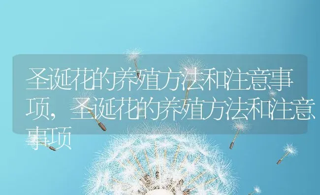 仙人球花可以吃吗,仙人掌的花能生吃吗？ | 养殖科普