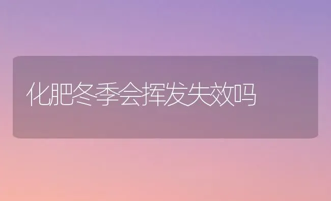 化肥冬季会挥发失效吗 | 养殖技术大全