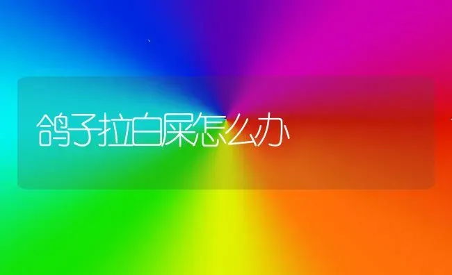 鸽子拉白屎怎么办 | 养殖知识