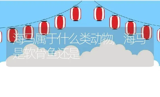 海马属于什么类动物,海马是软骨鱼还是 | 养殖学堂
