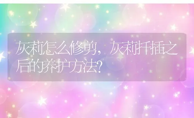 灰莉怎么修剪,灰莉扦插之后的养护方法？ | 养殖科普
