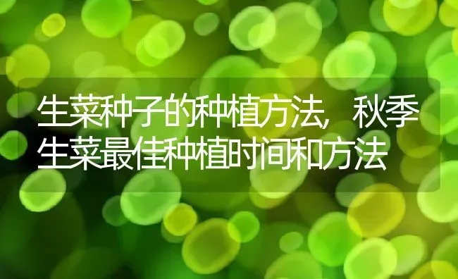 生菜种子的种植方法,秋季生菜最佳种植时间和方法 | 养殖学堂