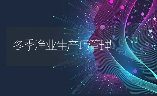 冬季渔业生产巧管理 | 养殖知识