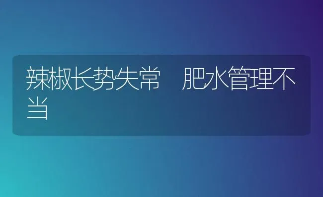 辣椒长势失常 肥水管理不当 | 养殖知识