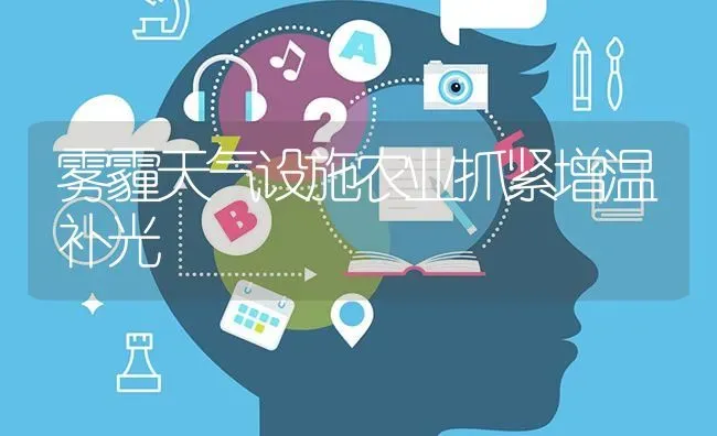 雾霾天气设施农业抓紧增温补光 | 养殖知识