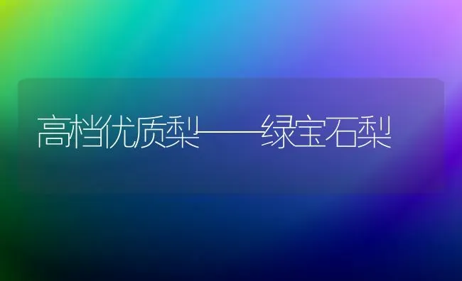 高档优质梨——绿宝石梨 | 养殖技术大全