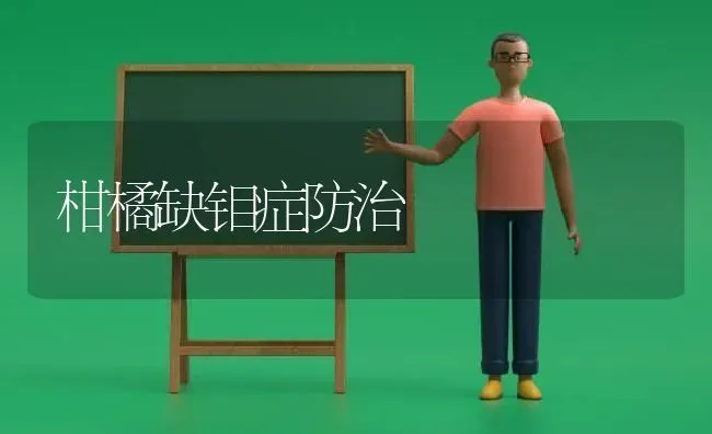 柑橘缺钼症防治 | 养殖技术大全
