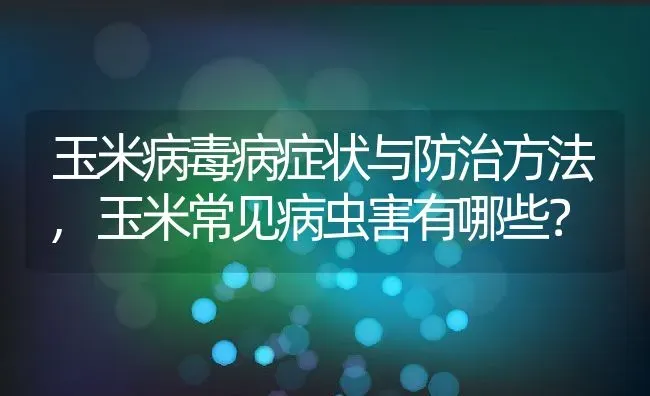 玉米病毒病症状与防治方法,玉米常见病虫害有哪些？ | 养殖科普