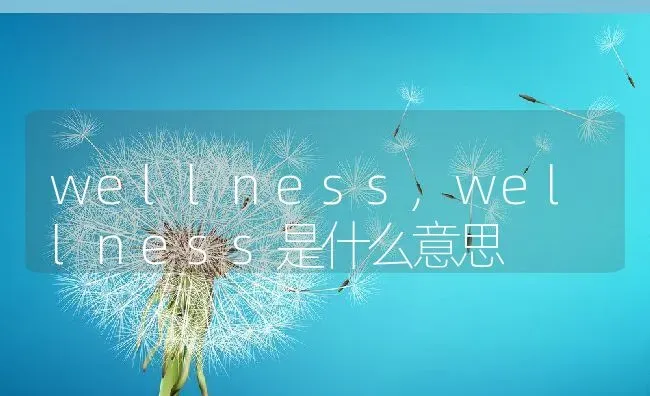 wellness,wellness是什么意思 | 养殖科普