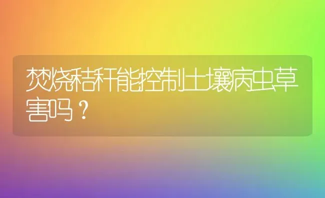 焚烧秸秆能控制土壤病虫草害吗? | 养殖知识