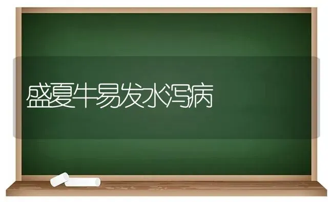 盛夏牛易发水泻病 | 养殖知识