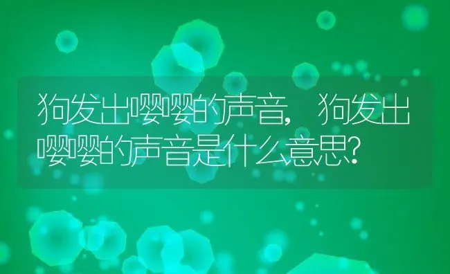 狗发出嘤嘤的声音,狗发出嘤嘤的声音是什么意思? | 养殖资料