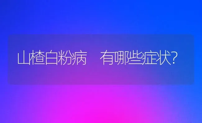 山楂白粉病 有哪些症状? | 养殖技术大全