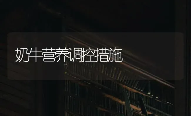 奶牛营养调控措施 | 养殖技术大全