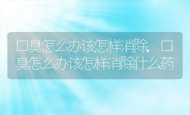 口臭怎么办该怎样消除,口臭怎么办该怎样消除什么药 | 养殖科普