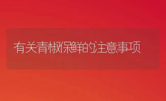 有关青椒保鲜的注意事项 | 养殖知识