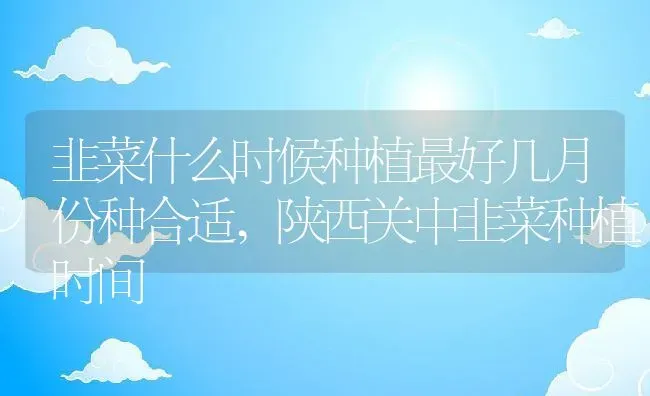 韭菜什么时候种植最好几月份种合适,陕西关中韭菜种植时间 | 养殖学堂