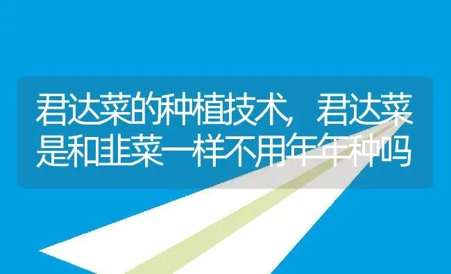 君达菜的种植技术,君达菜是和韭菜一样不用年年种吗 | 养殖学堂