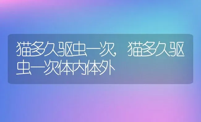 猫多久驱虫一次,猫多久驱虫一次体内体外 | 养殖资料