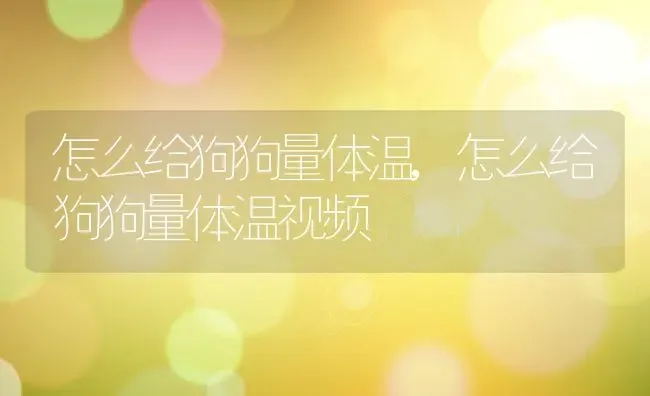 怎么给狗狗量体温,怎么给狗狗量体温视频 | 养殖资料
