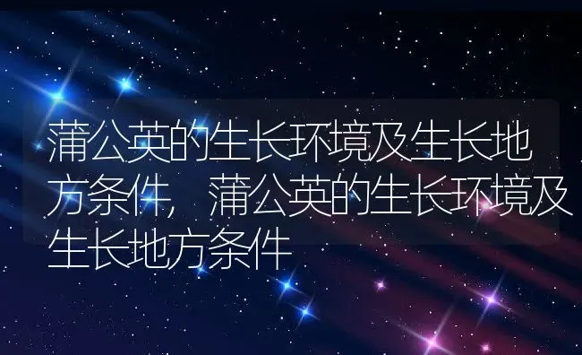 蒲公英的生长环境及生长地方条件,蒲公英的生长环境及生长地方条件 | 养殖科普