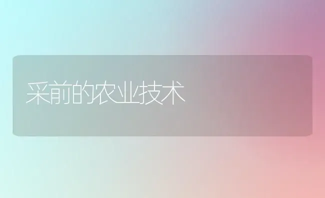 采前的农业技术 | 养殖技术大全