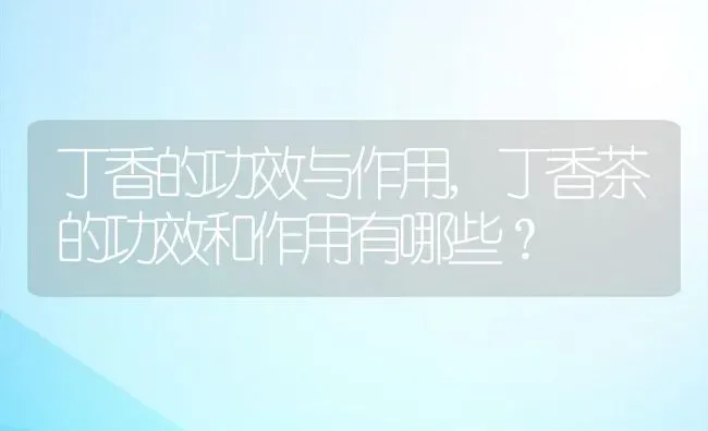 丁香的功效与作用,丁香茶的功效和作用有哪些？ | 养殖科普