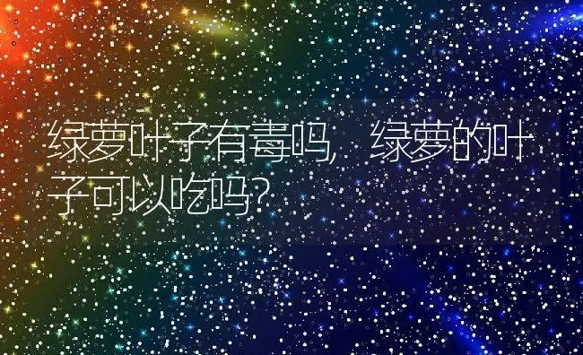 绿萝叶子有毒吗,绿萝的叶子可以吃吗？ | 养殖科普