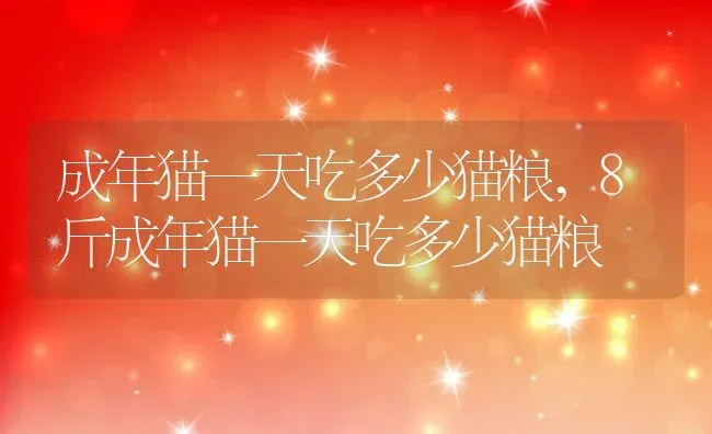 成年猫一天吃多少猫粮,8斤成年猫一天吃多少猫粮 | 养殖资料