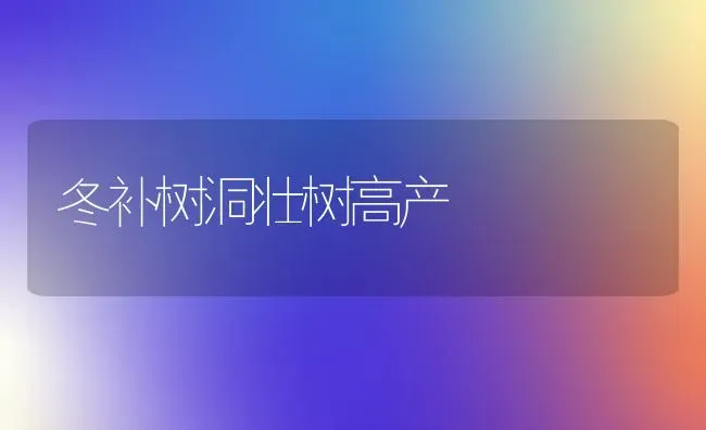 冬补树洞壮树高产 | 养殖知识