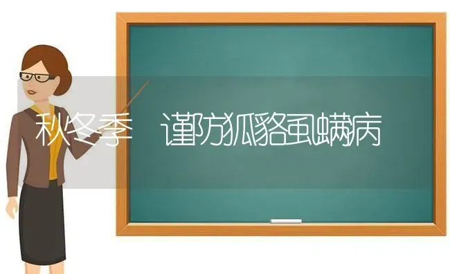 秋冬季 谨防狐貉虱螨病 | 养殖知识