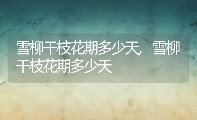 candie,candies是什么意思 | 养殖资料
