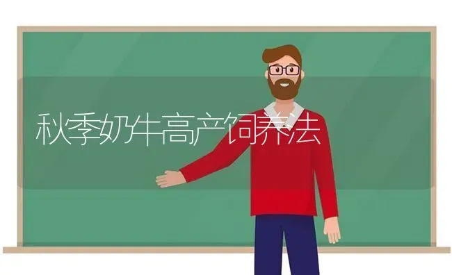 秋季奶牛高产饲养法 | 养殖技术大全