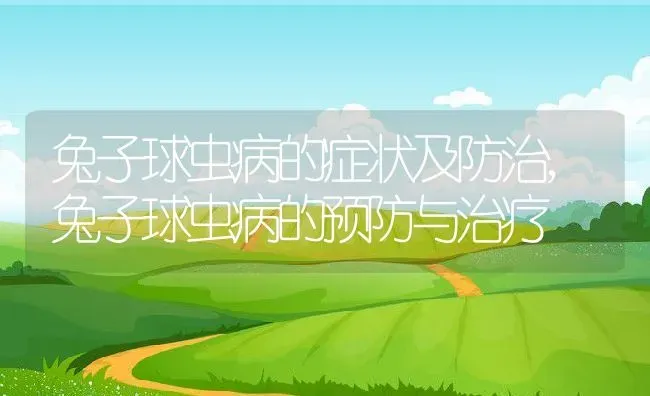 兔子球虫病的症状及防治,兔子球虫病的预防与治疗 | 养殖学堂