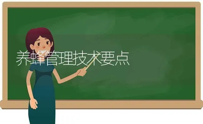 养蜂管理技术要点 | 养殖技术大全